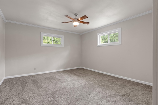 4806 Viola Dr, Chattanooga, TN 37415 - photo 17