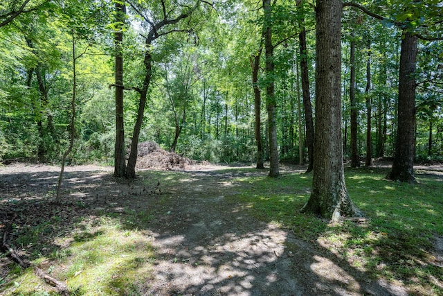 11 Shady Ln, Henagar, AL 35978 - photo 16