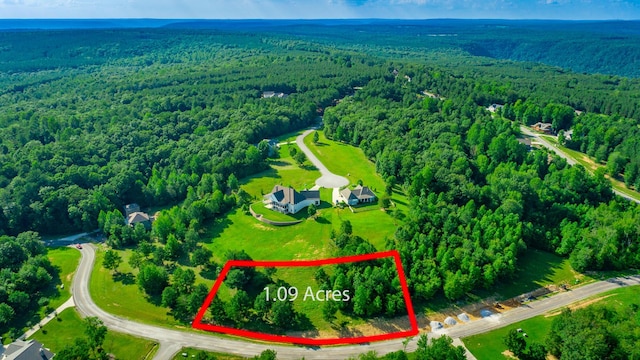 1899 River Bluffs Dr, Jasper, TN 37347 - photo 1
