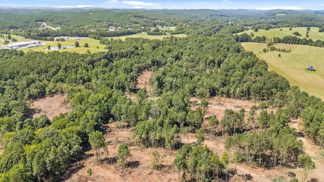 TRACT1 Wheeler Dam Rd, Cohutta, GA 30710 - photo 21