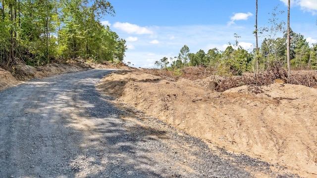 TRACT1 Wheeler Dam Rd, Cohutta, GA 30710 - photo 26
