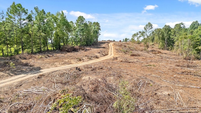 TRACT1 Wheeler Dam Rd, Cohutta, GA 30710 - photo 27
