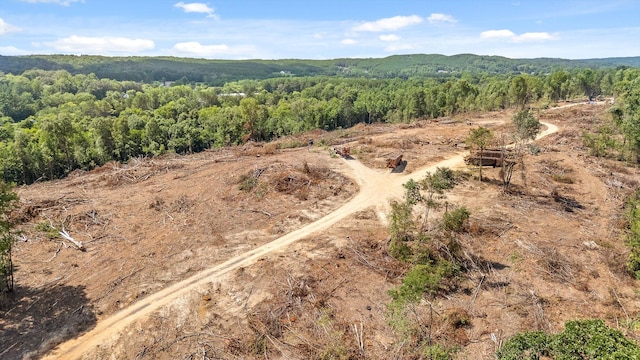 TRACT1 Wheeler Dam Rd, Cohutta, GA 30710 - photo 28