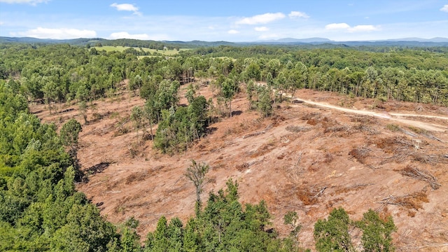 TRACT1 Wheeler Dam Rd, Cohutta, GA 30710 - photo 32