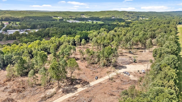 TRACT1 Wheeler Dam Rd, Cohutta, GA 30710 - photo 33