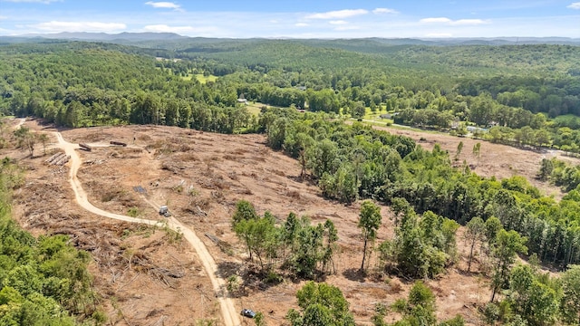 TRACT1 Wheeler Dam Rd, Cohutta, GA 30710 - photo 34