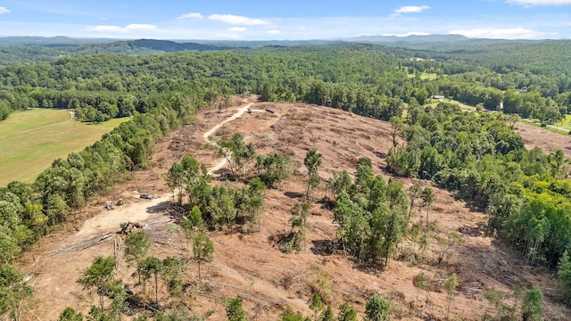 TRACT1 Wheeler Dam Rd, Cohutta, GA 30710 - photo 35