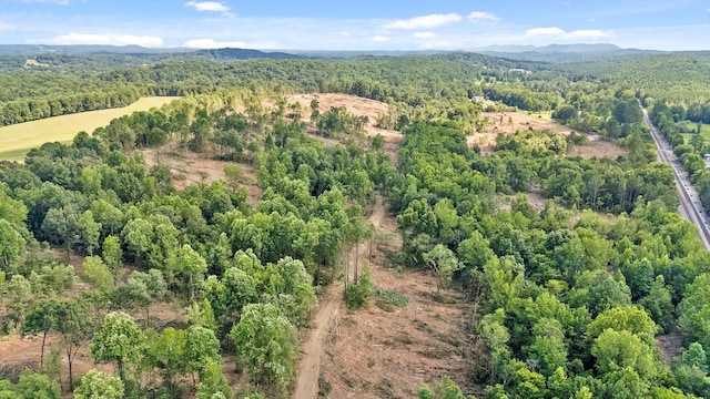 TRACT1 Wheeler Dam Rd, Cohutta, GA 30710 - photo 36