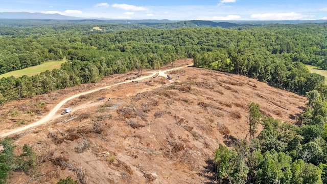 TRACT1 Wheeler Dam Rd, Cohutta, GA 30710 - photo 37