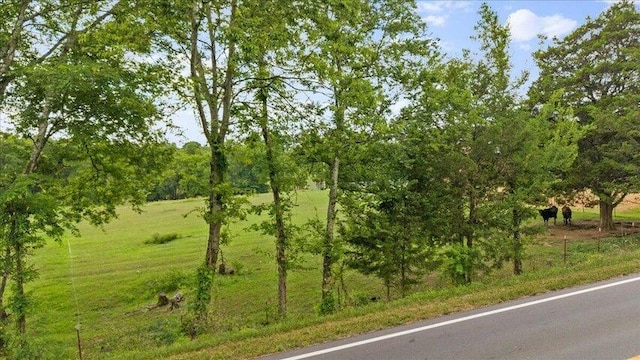 LOT4 County Rd Unit 700, Riceville, TN 37370 - photo 2