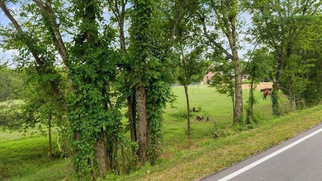 LOT4 County Rd Unit 700, Riceville, TN 37370 - photo 3