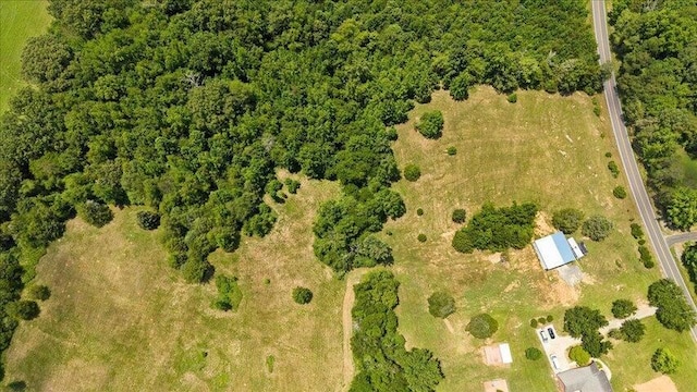 LOT4 County Rd Unit 700, Riceville, TN 37370 - photo 11