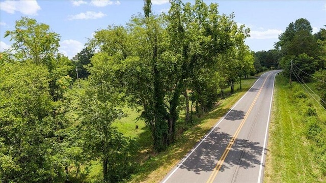 LOT4 County Rd Unit 700, Riceville, TN 37370 - photo 1