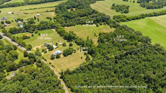 LOT4 County Rd Unit 700, Riceville, TN 37370 - photo 13