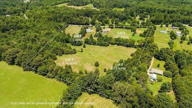LOT4 County Rd Unit 700, Riceville, TN 37370 - photo 14