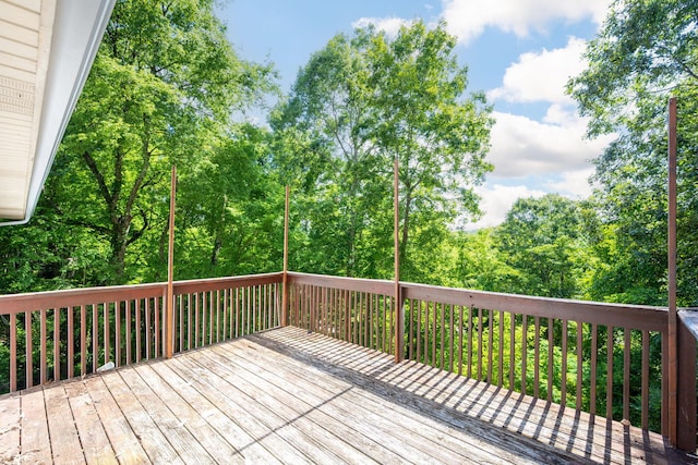 7111 Cane Hollow Rd, Hixson, TN 37343 - photo 24