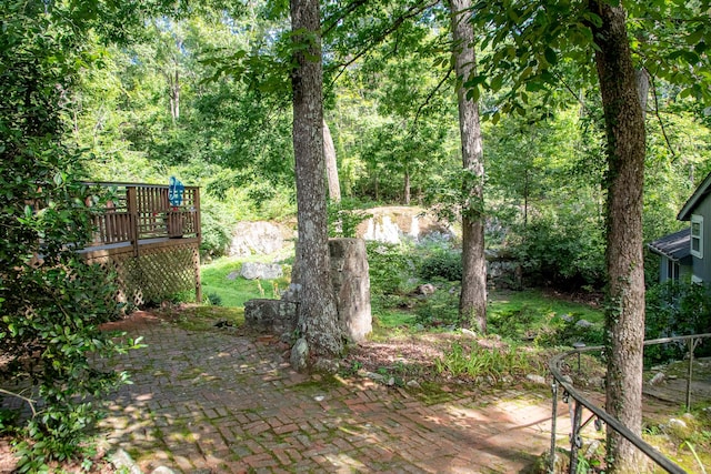 109 Robin Hood Trl, Lookout Mountain, GA 30750 - photo 23