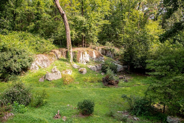 109 Robin Hood Trl, Lookout Mountain, GA 30750 - photo 29
