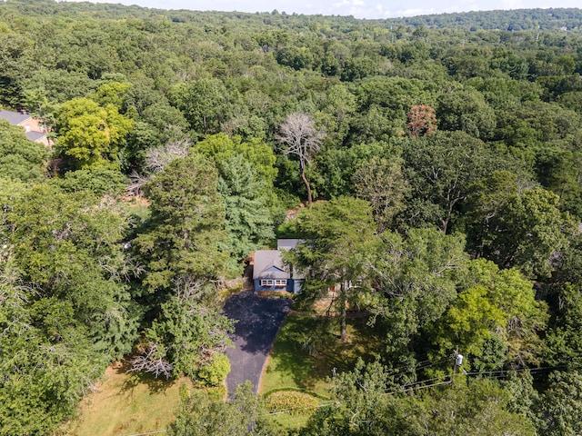 109 Robin Hood Trl, Lookout Mountain, GA 30750 - photo 40