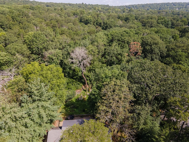 109 Robin Hood Trl, Lookout Mountain, GA 30750 - photo 41