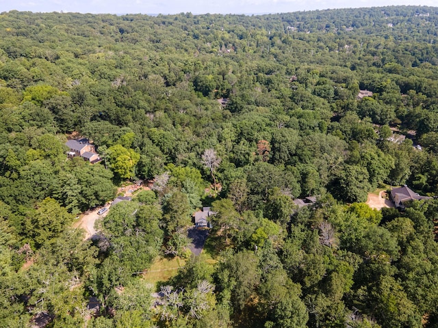 109 Robin Hood Trl, Lookout Mountain, GA 30750 - photo 42