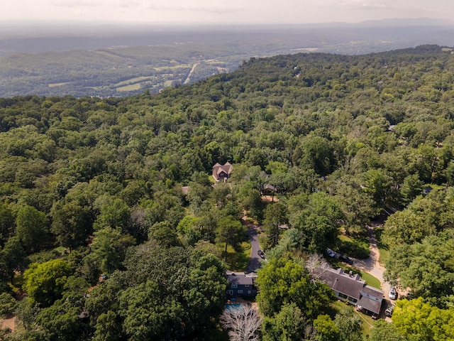 109 Robin Hood Trl, Lookout Mountain, GA 30750 - photo 43