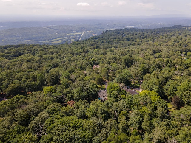109 Robin Hood Trl, Lookout Mountain, GA 30750 - photo 44