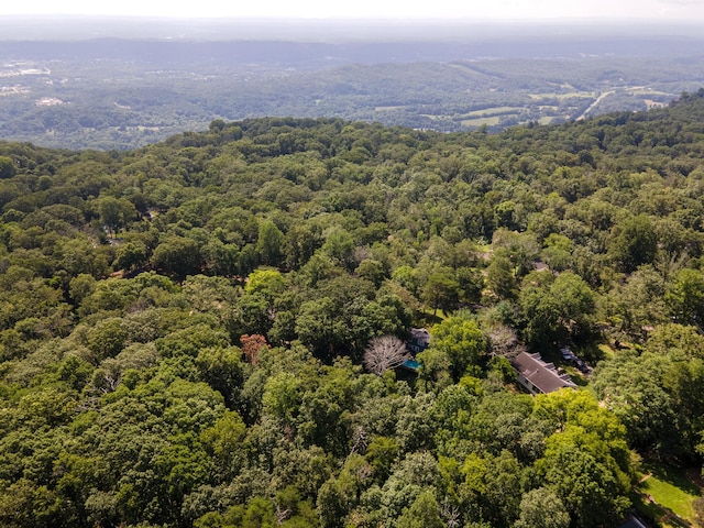 109 Robin Hood Trl, Lookout Mountain, GA 30750 - photo 45