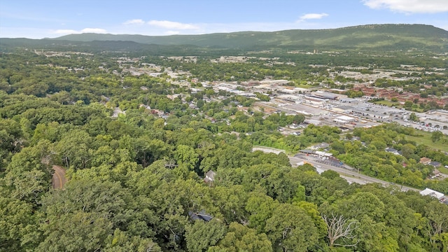 2130 Old Ringgold Rd, Chattanooga, TN 37404 - photo 79