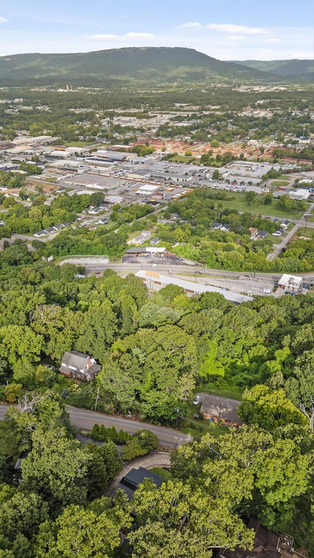 2130 Old Ringgold Rd, Chattanooga, TN 37404 - photo 85