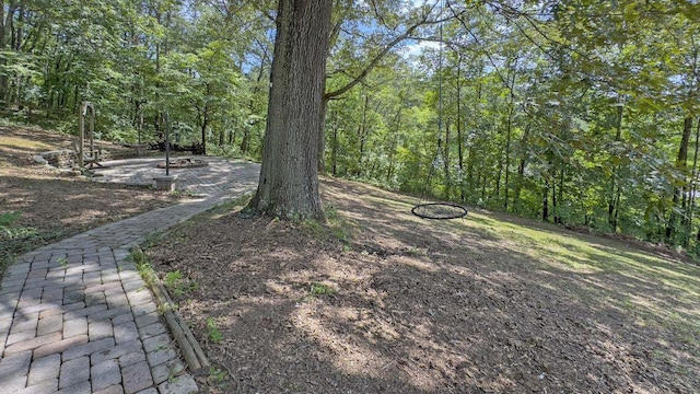 266 Pine Hill Dr, Dayton, TN 37321 - photo 52