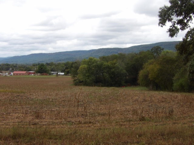 714 Alvin York Hwy, Pikeville, TN 37367 - photo 42