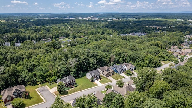 7160 Neville Dr, Ooltewah, TN 37363 - photo 54