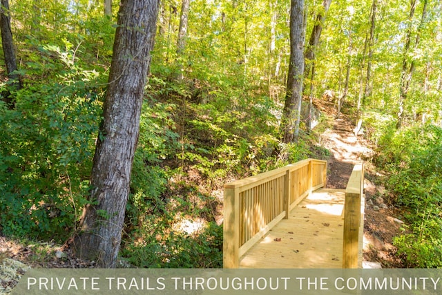 4535 Kellys Ferry Rd, Chattanooga, TN 37419 - photo 16