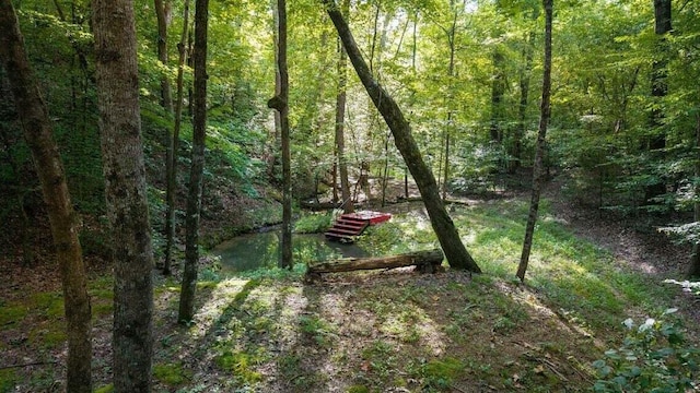 301 Wooten Rd Unit 13.83Acres, Delano, TN 37325 - photo 51