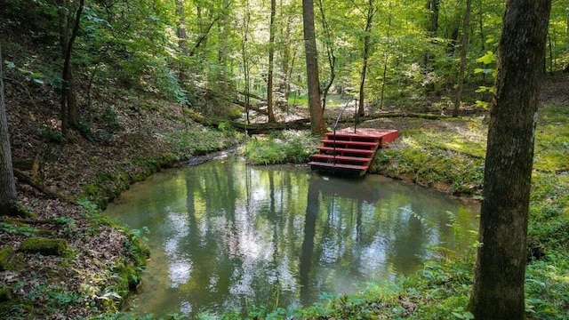 301 Wooten Rd Unit 13.83Acres, Delano, TN 37325 - photo 52