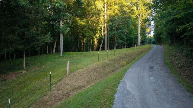 301 Wooten Rd Unit 13.83Acres, Delano, TN 37325 - photo 60