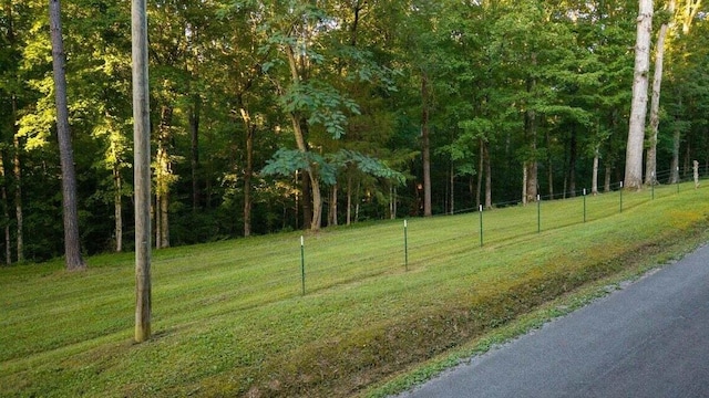 301 Wooten Rd Unit 13.83Acres, Delano, TN 37325 - photo 61