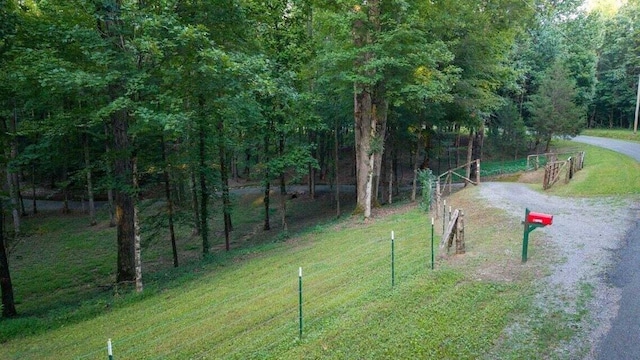 301 Wooten Rd Unit 13.83Acres, Delano, TN 37325 - photo 2