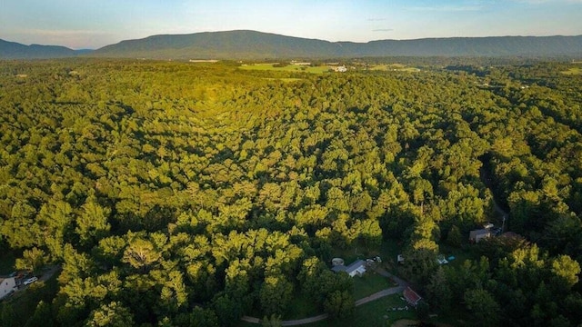 301 Wooten Rd Unit 13.83Acres, Delano, TN 37325 - photo 63