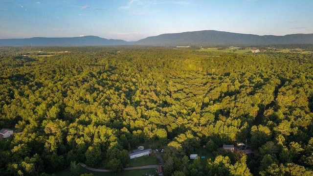 301 Wooten Rd Unit 13.83Acres, Delano, TN 37325 - photo 64