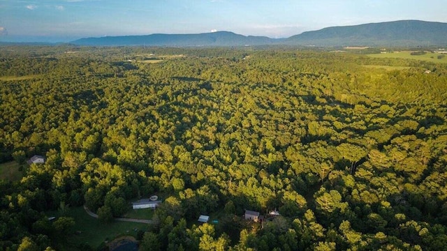 301 Wooten Rd Unit 13.83Acres, Delano, TN 37325 - photo 65