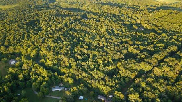 301 Wooten Rd Unit 13.83Acres, Delano, TN 37325 - photo 66