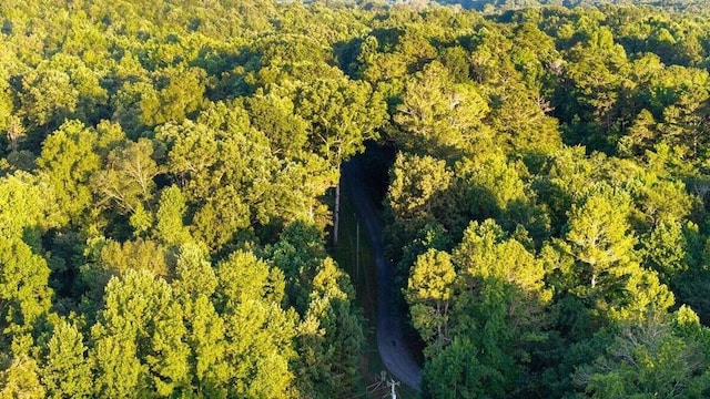301 Wooten Rd Unit 13.83Acres, Delano, TN 37325 - photo 67