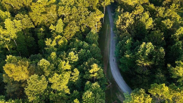301 Wooten Rd Unit 13.83Acres, Delano, TN 37325 - photo 68