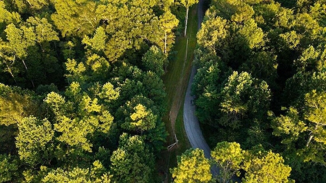 301 Wooten Rd Unit 13.83Acres, Delano, TN 37325 - photo 69
