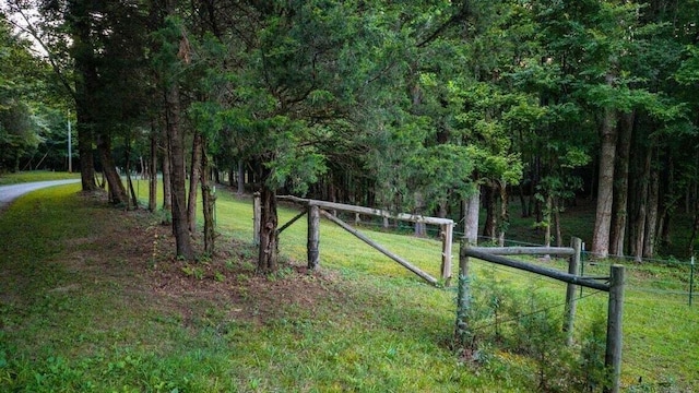 301 Wooten Rd Unit 13.83Acres, Delano, TN 37325 - photo 3