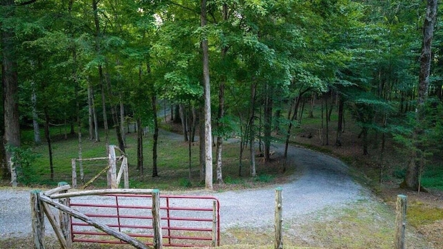 301 Wooten Rd Unit 13.83Acres, Delano, TN 37325 - photo 4