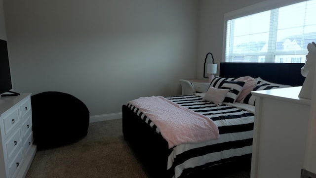 7432 Hollyhock Ln, Ooltewah, TN 37363 - photo 49