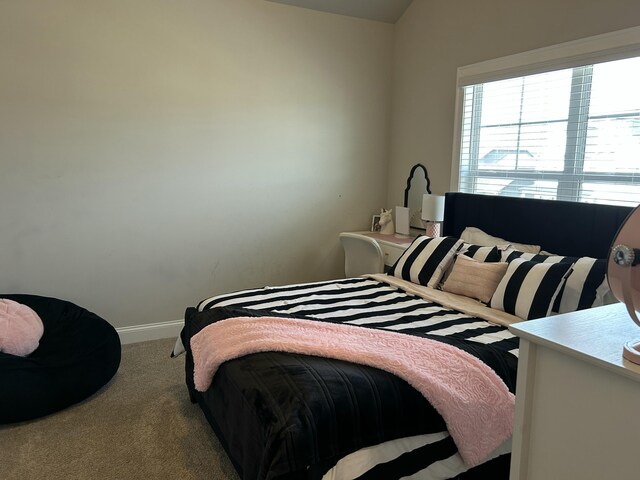 7432 Hollyhock Ln, Ooltewah, TN 37363 - photo 47